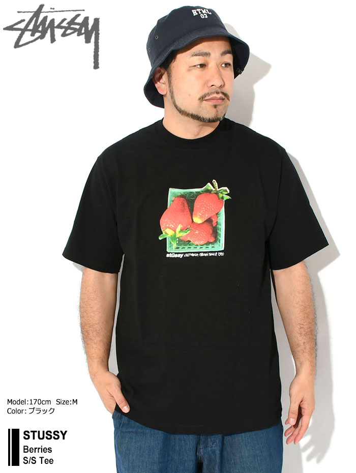 STUSSY（ステューシー） Tシャツ 半袖 メンズ Berries ( stussy tee T