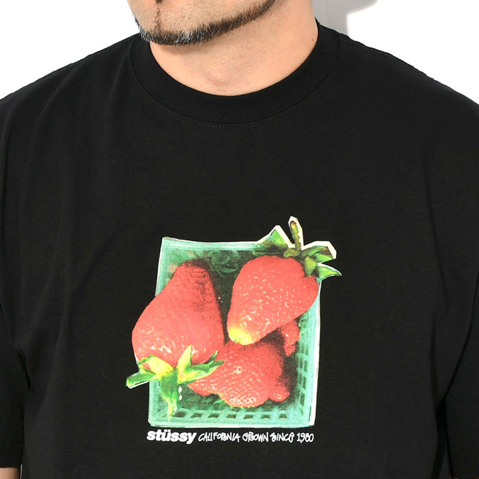STUSSY ステューシー Tシャツ 半袖 メンズ Berries ( stussy tee