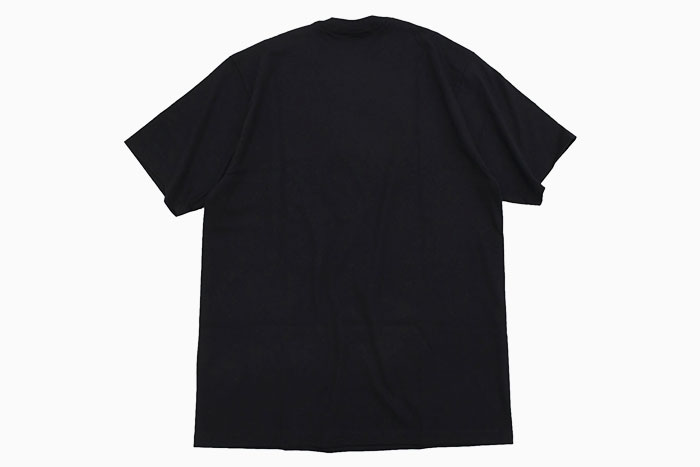 STUSSY ステューシー Tシャツ 半袖 メンズ Berries ( stussy tee