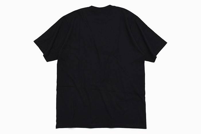 STUSSYステューシーのTシャツ Worldwide Dot07