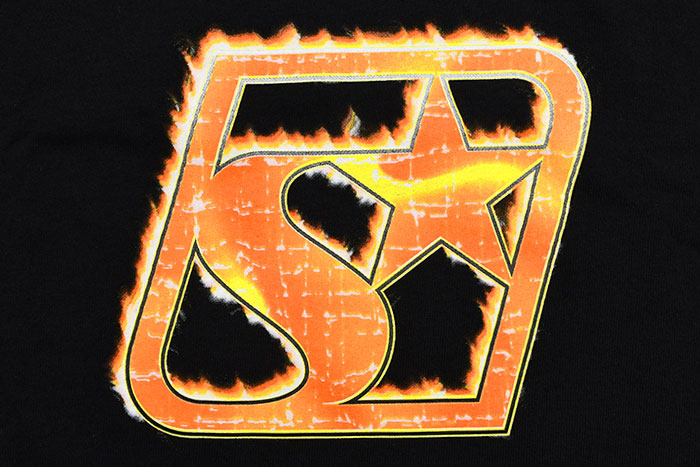 STUSSYステューシーのTシャツ Blaze05