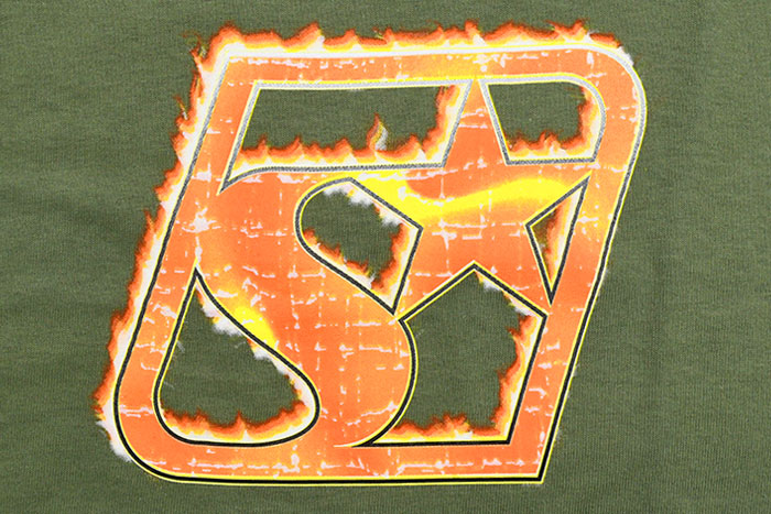 STUSSYステューシーのTシャツ Blaze07