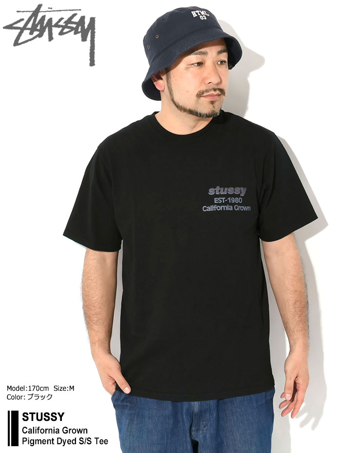STUSSY（ステューシー） Tシャツ 半袖 メンズ California Grown