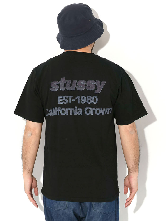 STUSSY（ステューシー） Tシャツ 半袖 メンズ California Grown