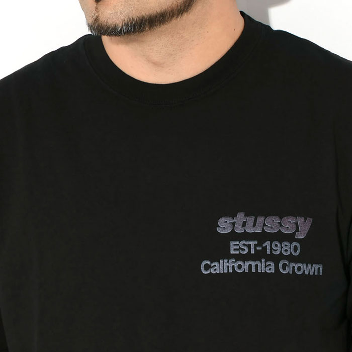 STUSSY（ステューシー） Tシャツ 半袖 メンズ California Grown