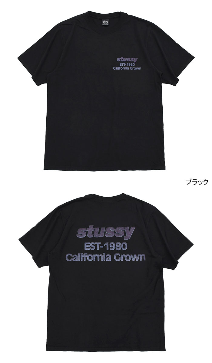 STUSSY ステューシー Tシャツ 半袖 メンズ California Grown