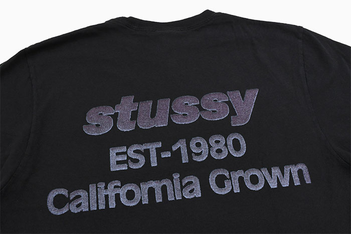 STUSSY（ステューシー） Tシャツ 半袖 メンズ California Grown
