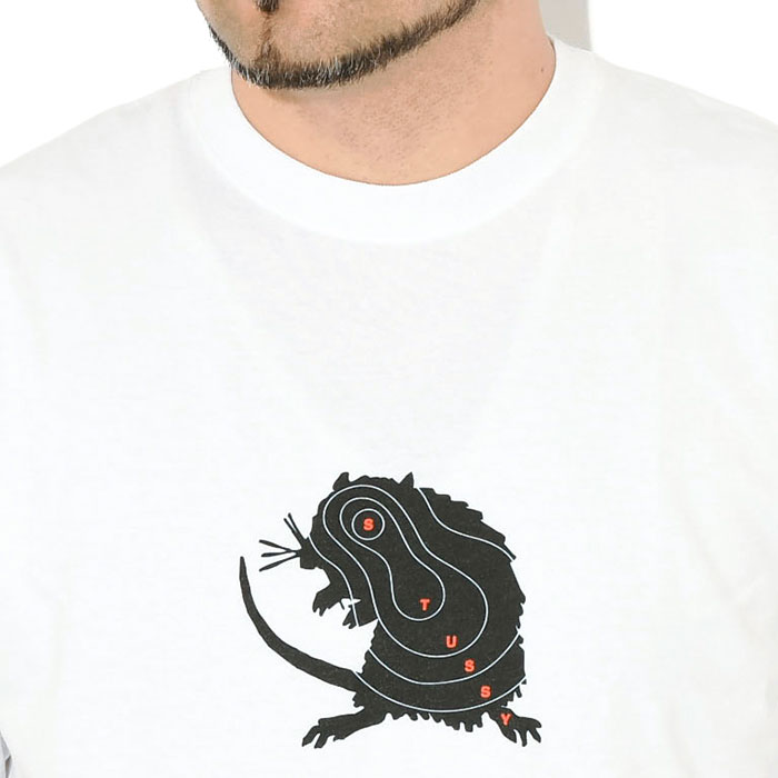 STUSSYステューシーのTシャツ Long Range02
