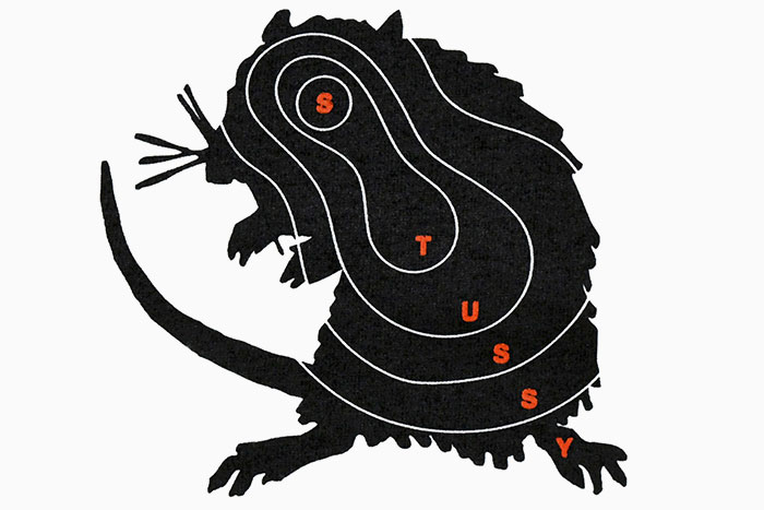 STUSSYステューシーのTシャツ Long Range04