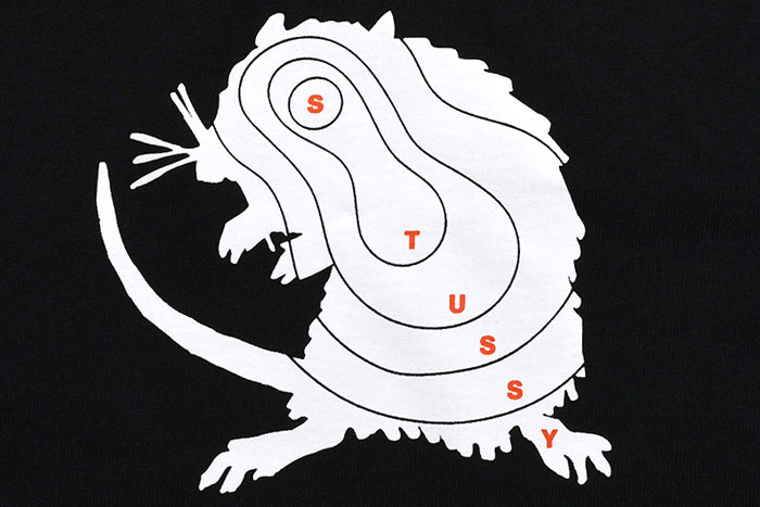 STUSSYステューシーのTシャツ Long Range05