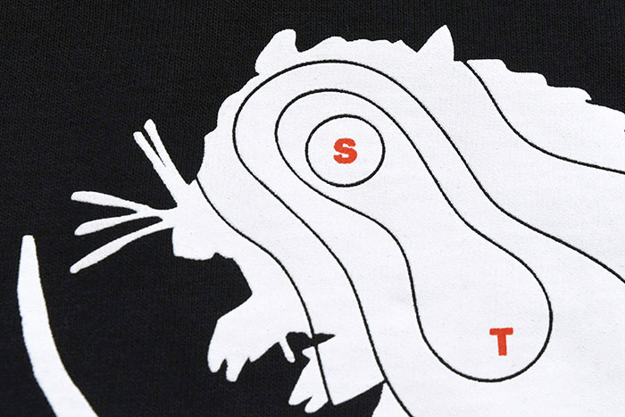 STUSSYステューシーのTシャツ Long Range06