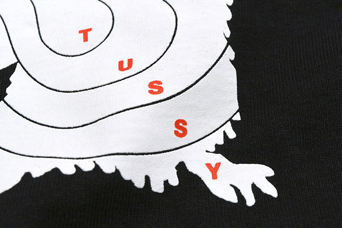 STUSSYステューシーのTシャツ Long Range07