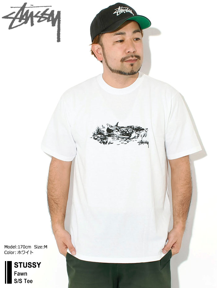 STUSSYステューシーのTシャツ Fawn01