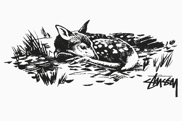 STUSSYステューシーのTシャツ Fawn04