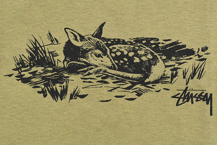STUSSYステューシーのTシャツ Fawn05