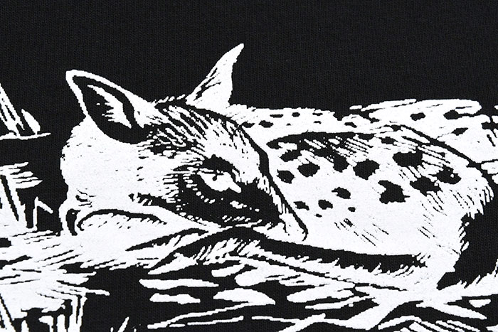 STUSSYステューシーのTシャツ Fawn07