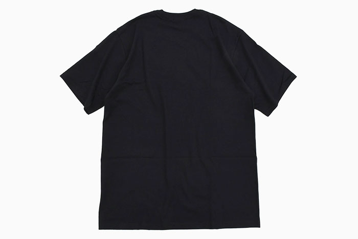 STUSSYステューシーのTシャツ Fawn09