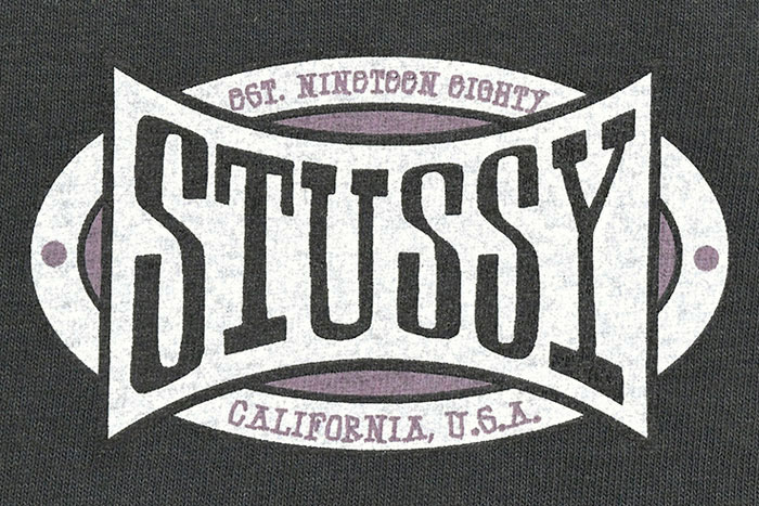STUSSYステューシーのTシャツ Champion Oval Pigment Dyed06