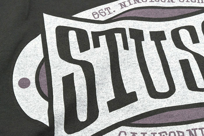 STUSSYステューシーのTシャツ Champion Oval Pigment Dyed09