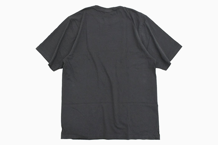 STUSSYステューシーのTシャツ Stretch Pigment Dyed07