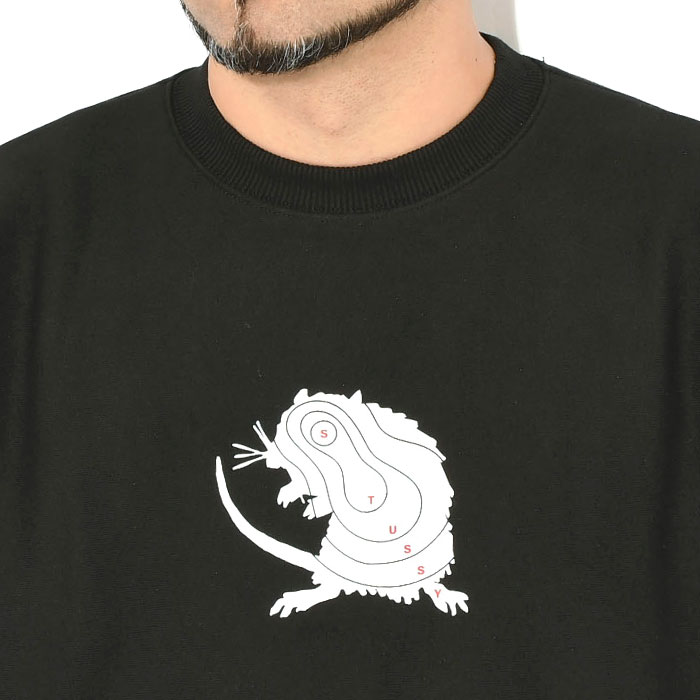 STUSSY（ステューシー） トレーナー メンズ Long Range ( stussy sweat