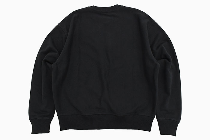 STUSSY（ステューシー） トレーナー メンズ Long Range ( stussy sweat