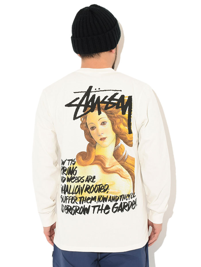 STUSSY（ステューシー） ロンT Tシャツ 長袖 メンズ Spring Weeds