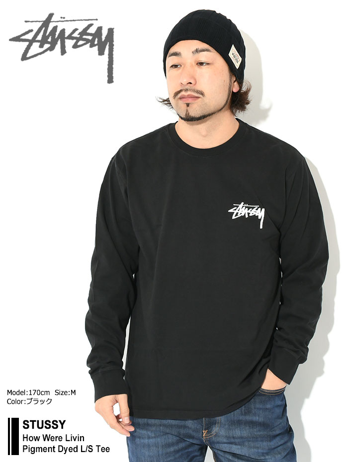 STUSSY×TREATED ロンTシャツ　Mサイズ STUSSY ステューシー ロンT Tシャツ 長袖 メンズ How Were Livin
