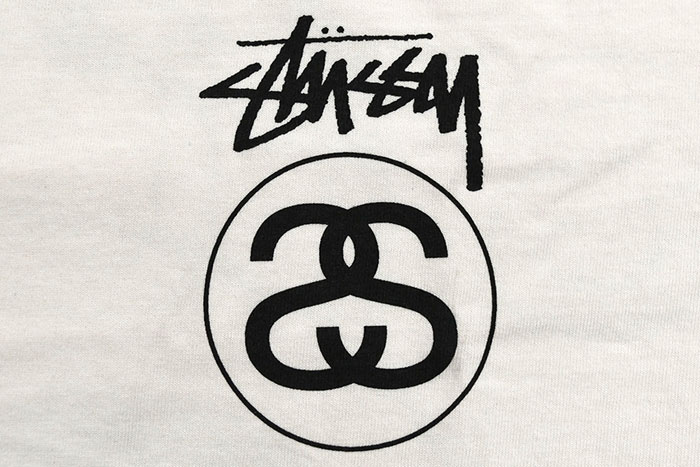 ステューシー ロンT Tシャツ 長袖 STUSSY メンズ Test Strike Pigment