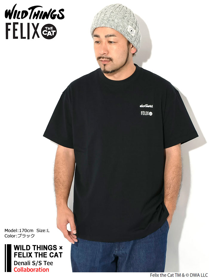試着程度♪極美品FRAPBOIS×ワイルドシングストリプルコラボTシャツ WILD THINGS（ワイルドシングス） CAMP POCKET T 胸ポケット 半袖T