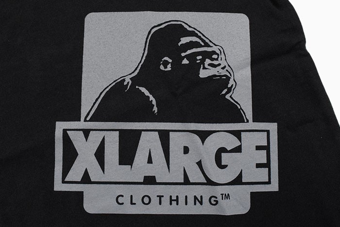 X-LARGE プリント Tシャツ icefield_xla-101202011007
