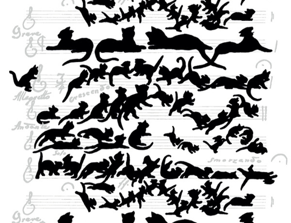 VIOLINO 全体イメージ