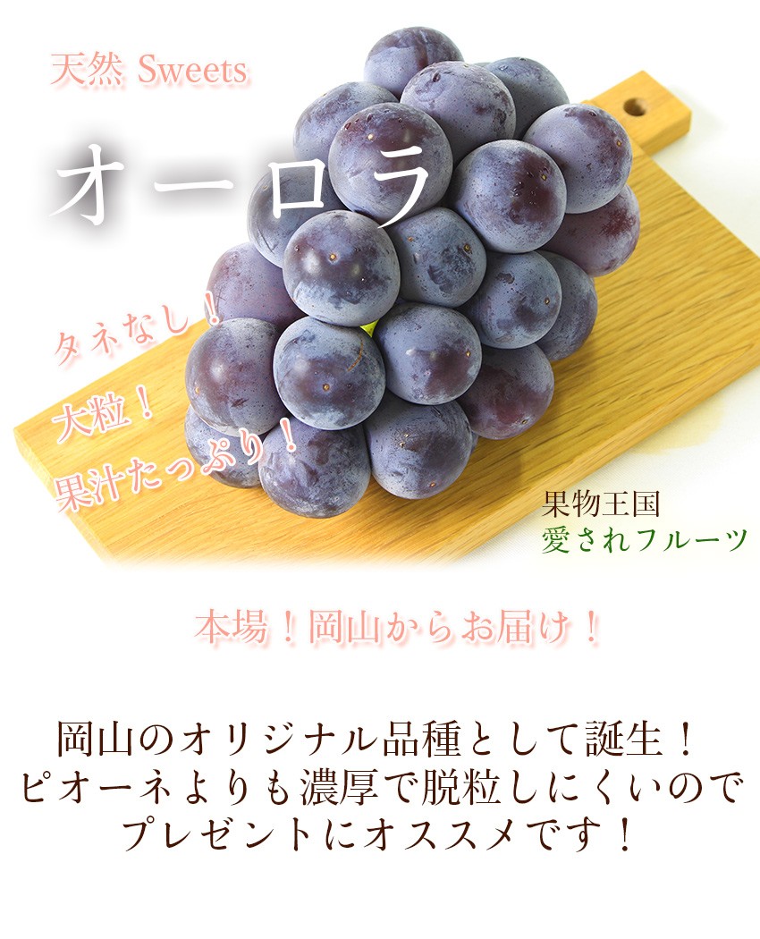 送料無料 オーロラブラック 岡山県産 贈答用 2房1kg 500g×2房 葡萄