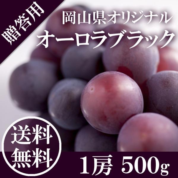 送料無料 オーロラブラック 岡山県産 贈答用 2房1kg 500g×2房 葡萄