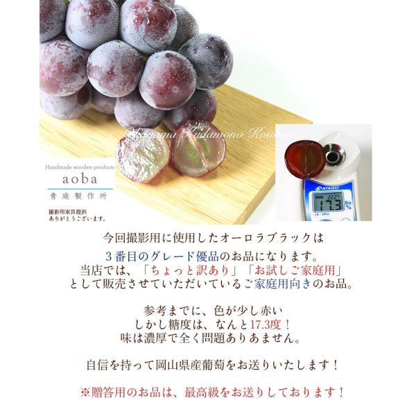 送料無料 オーロラブラック 岡山県産 贈答用 2房1kg 500g×2房 葡萄ぶどう ブドウ ギフト