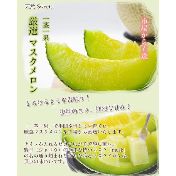 プレミア品　最高級超大玉マスクメロンまるごとメロン 専用箱入り　限定１玉 楽天市場】エメラルドメロン 高級マスクメロン 隔離栽培 約1.3kg