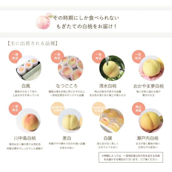 お徳用　おかやまの桃　約900g