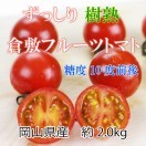 フルーツトマト