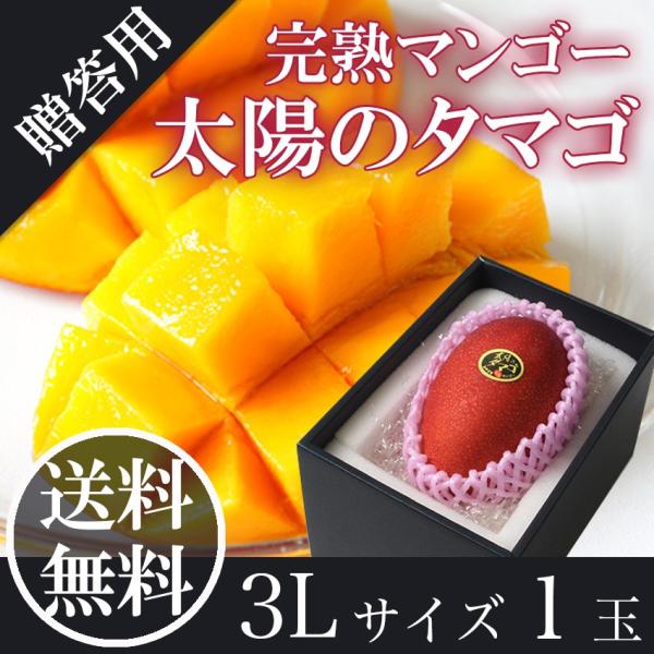 宮崎県産完熟マンゴー3.7kgオーバー　大玉