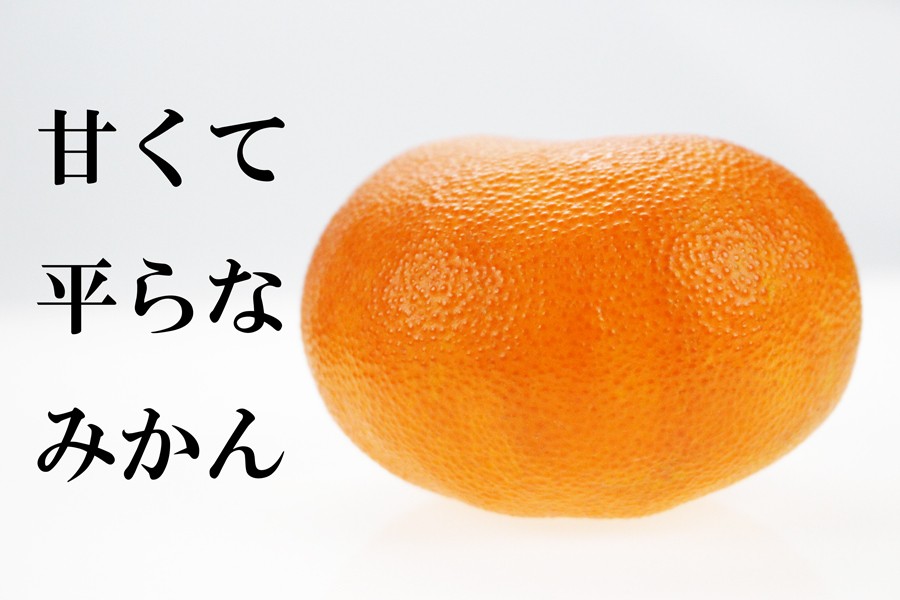 みかん 甘平 （ かんぺい ） 中島産 1.3kg 赤秀 L-3L 4-9玉贈答