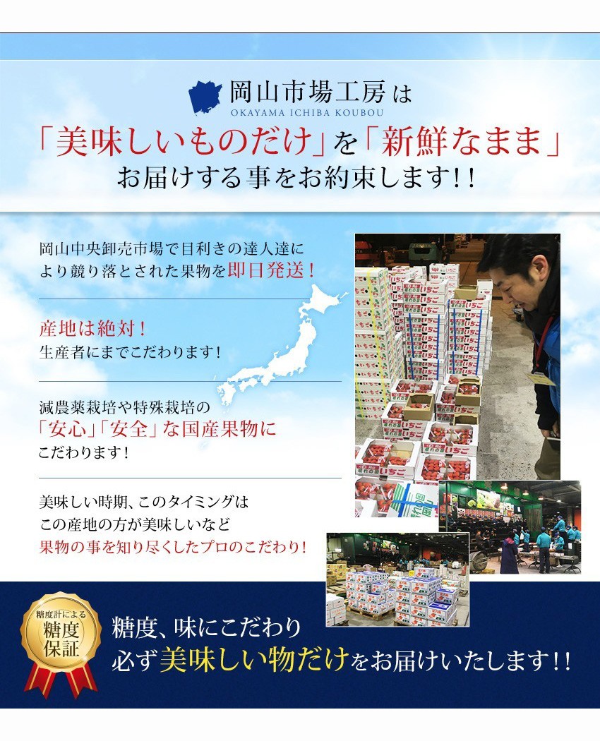 送料無料 オーロラブラック 岡山県産 贈答用 2房1kg 500g×2房 葡萄