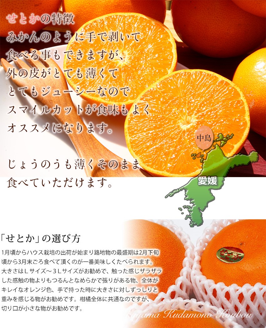 せとか ○等級 大きさお任せ 5kg 訳あり 家庭用 キズ・スレあり せとか ○等級 大きさお任せ 5kg 訳あり 家庭用 キズ・スレあり