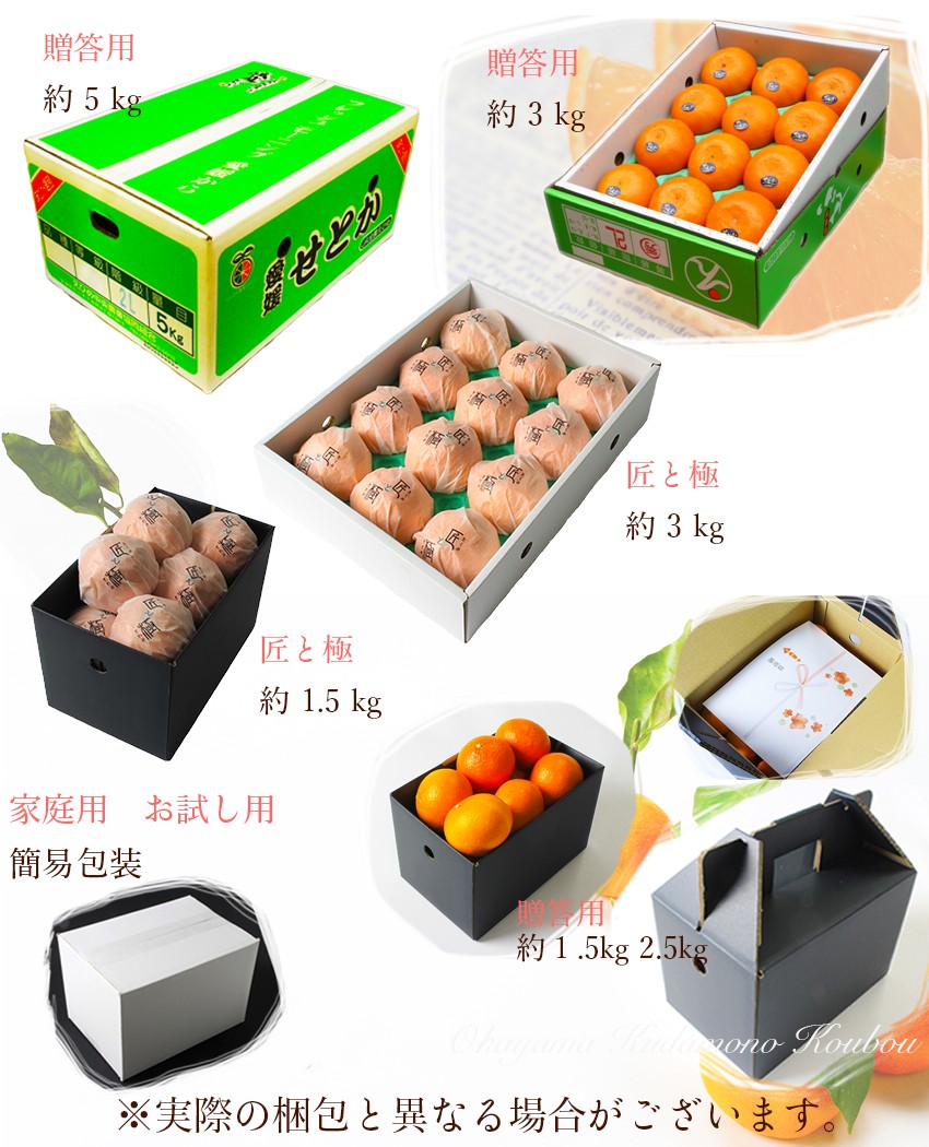 せとか ○等級 大きさお任せ 5kg 訳あり 家庭用 キズ・スレあり