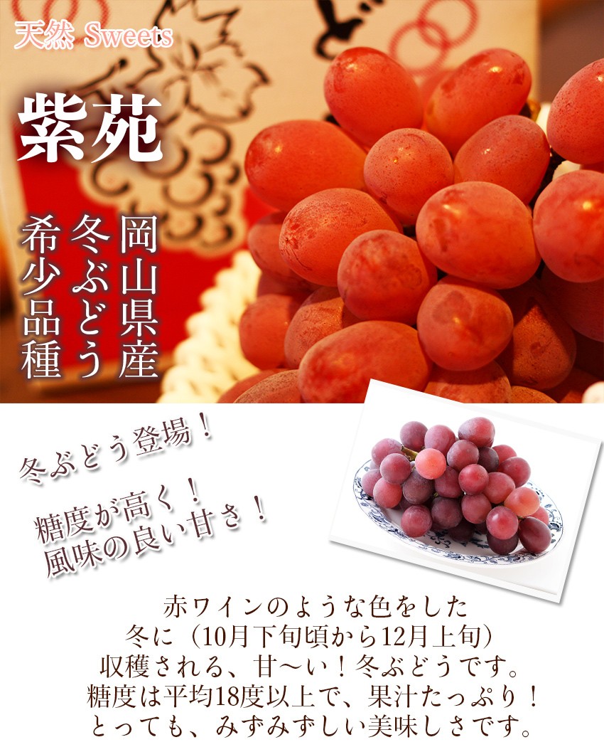 2025 ギフト 岡山県産 シャインマスカット 晴王 ＆ 紫苑 2房（500g×2