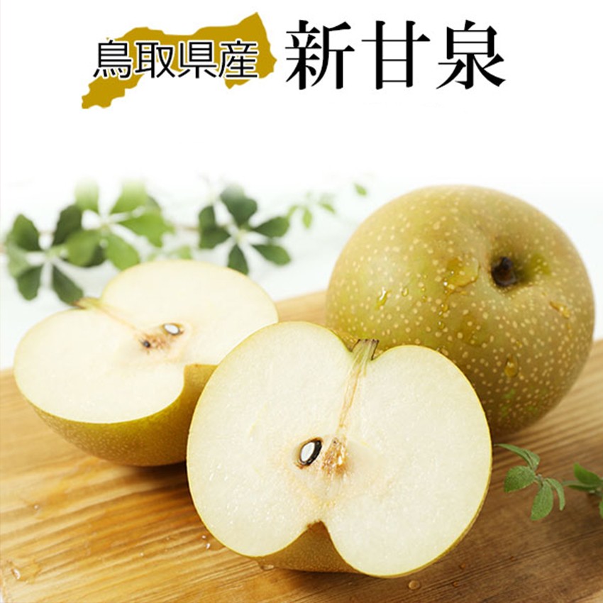 鳥取産新甘泉梨青秀18玉5kg✖️２箱セット！ 梨 5kg クール便 送料無料 鳥取県産 新甘泉梨 秀品 18-22玉入 新