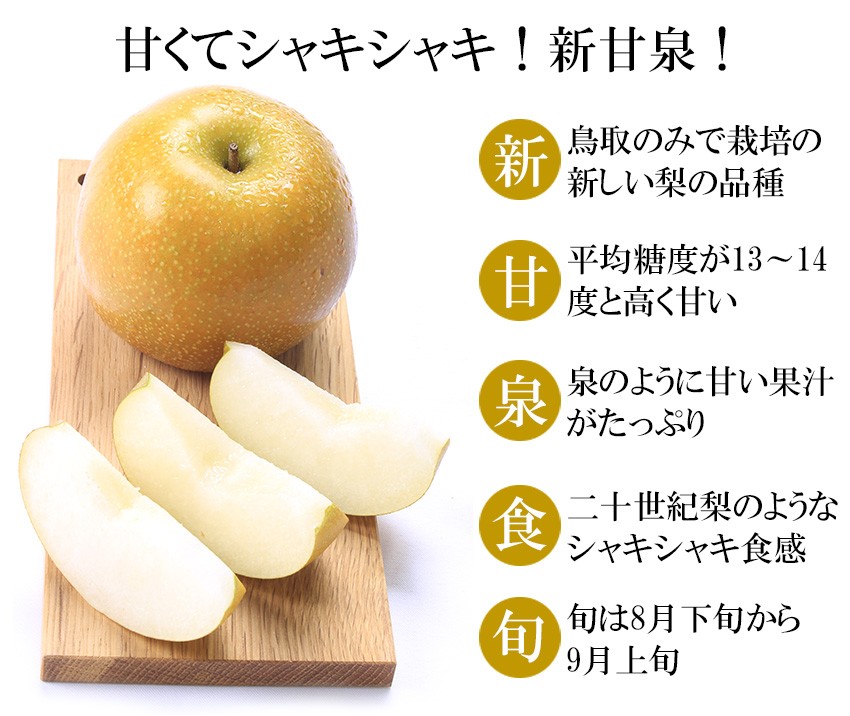 梨 新甘泉 しんかんせん 赤秀 2L〜Lサイズ 16〜24玉 約5kg 贈答用