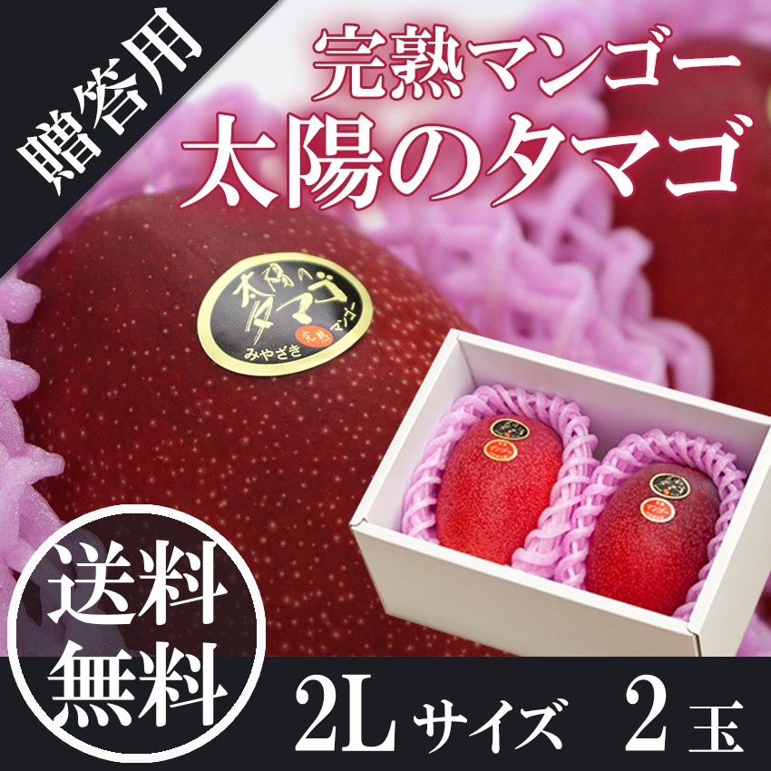 DIA 。ヤマモモ　２キロ　 宮崎県産 mango-07.jpg