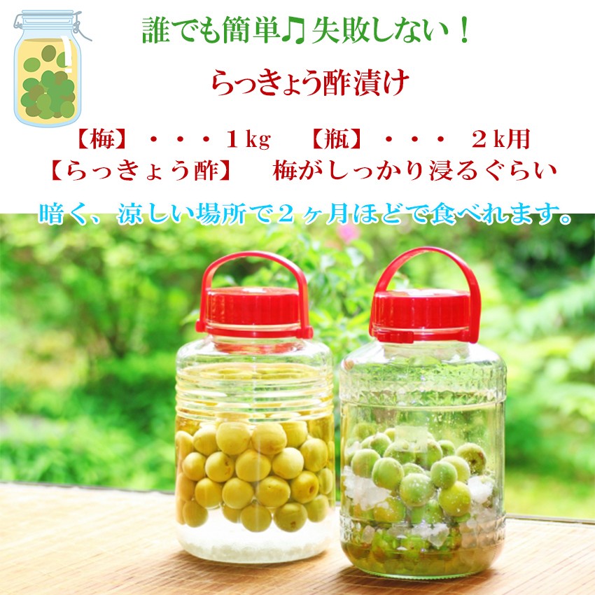 徳島県産南高梅10kg 秀品◎梅干し梅酒梅シロップ用 Amazon | 青梅 梅酒用 南高梅 10kg 梅シロップ 梅ジュース