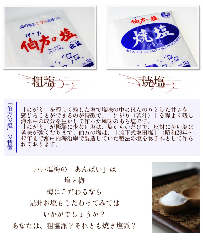 南高梅 4L 約10kg 秀品 和歌山県産 (生梅) 梅 紀州 うめぼし 梅酒 JA