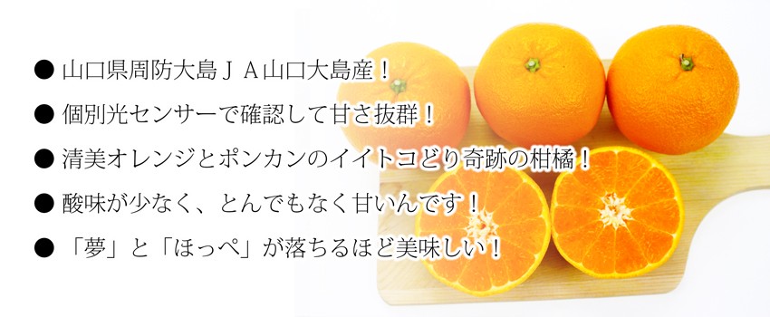 訳あり.美味しさ抜群(せとみ蜜柑)食べたら感動があります. - 果物